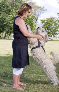 ein Hund springt eine Frau auf der Wiese an